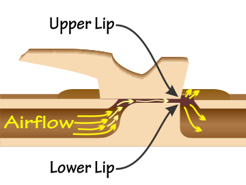 Cut-away image of a Native American flute, showing the SAC exit hole, airflow, ramp, flue, and splitting edge